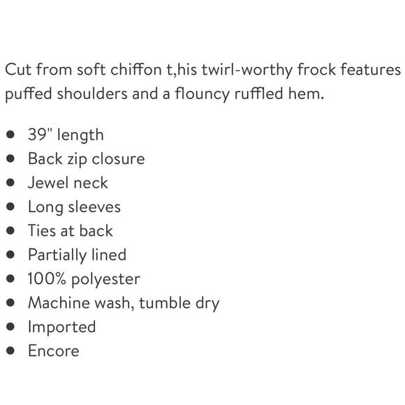 New ~ STANDARDS AND PRACTICES ~ Prairie Chiffon Dress- Gorg - SZ 1X - - Picture 5 of 7